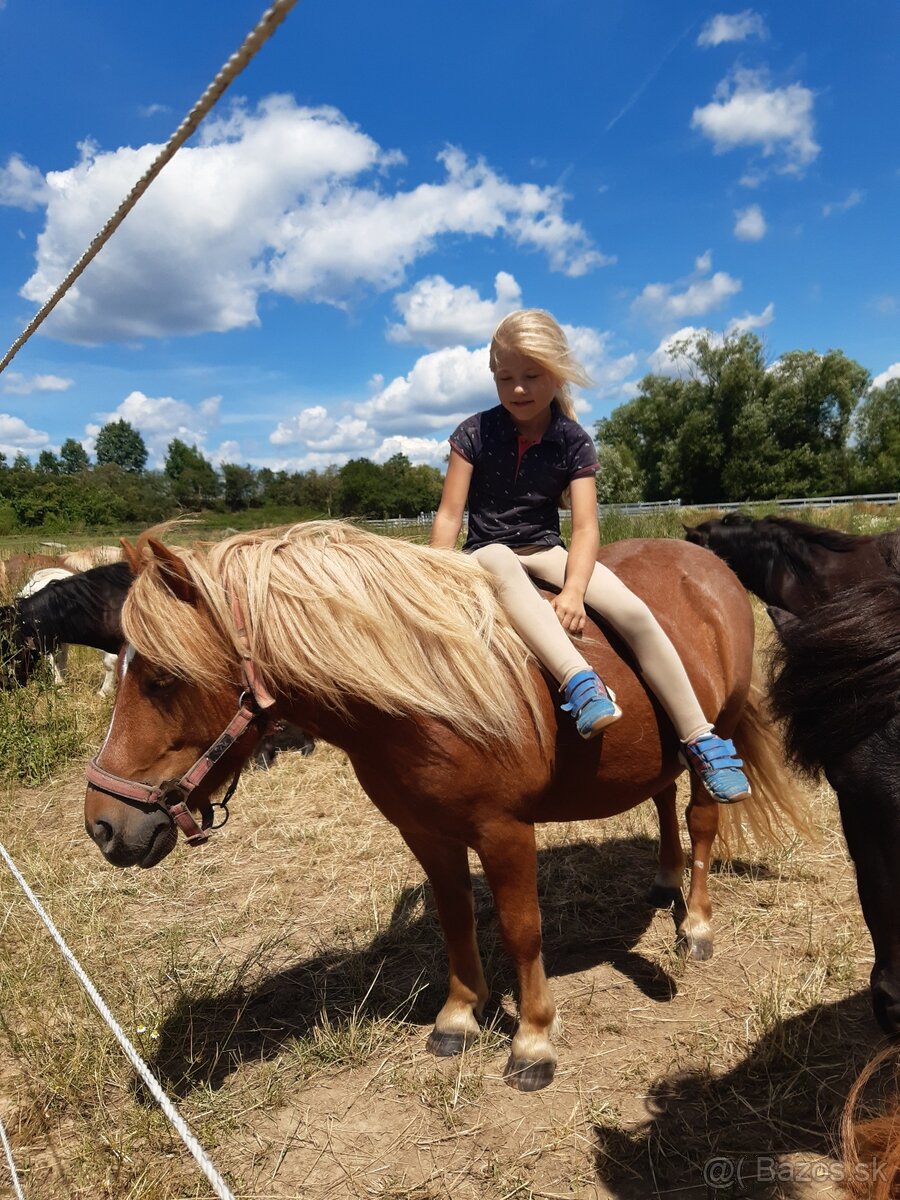 Nejlepší první pony pro dítě - 8