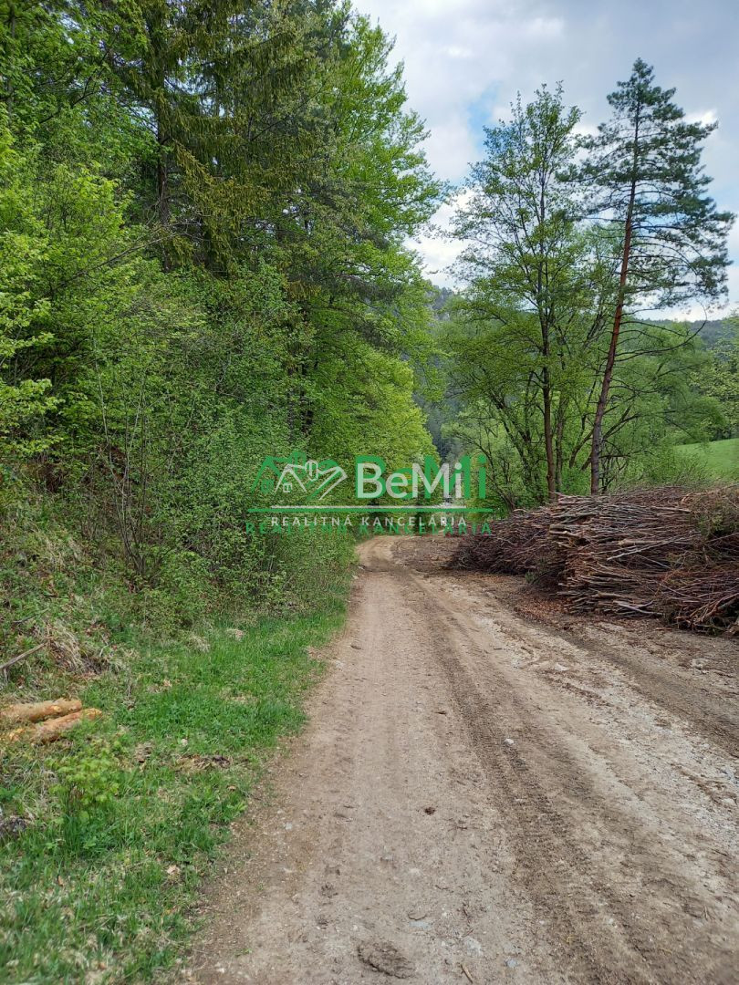 Predaj, pozemky, obec Paština Závada, Žilina (066-14-BOC) - 8