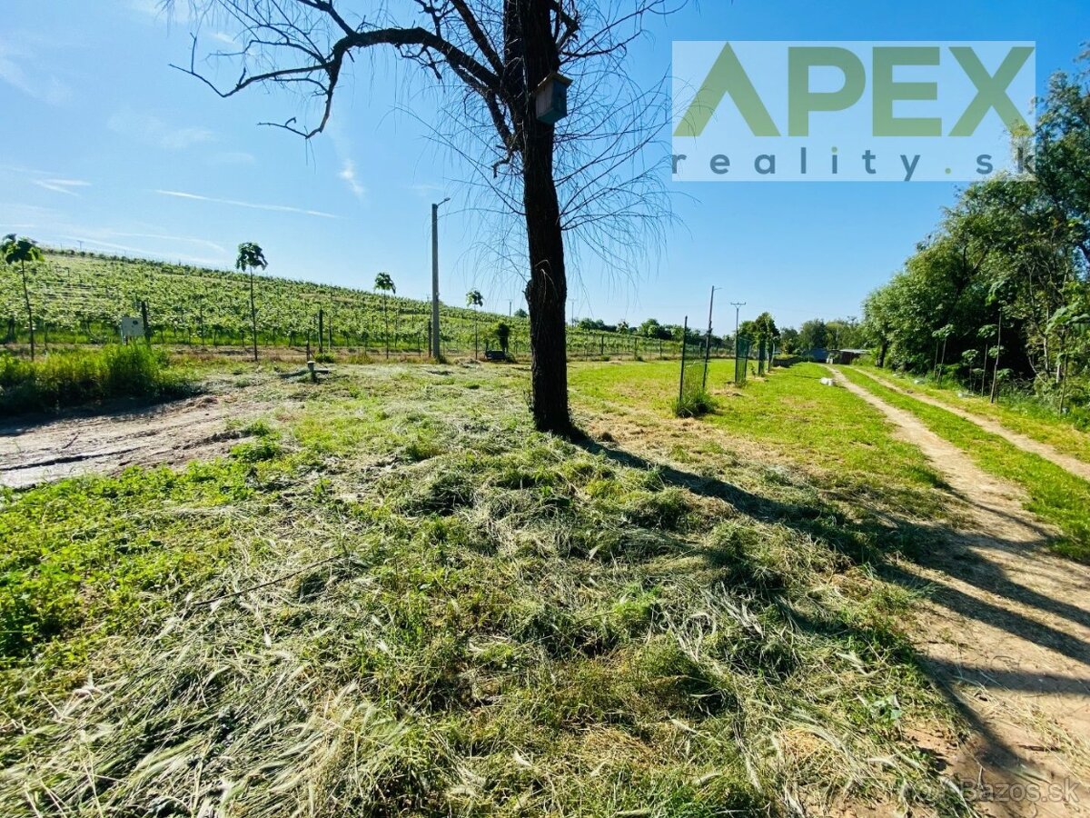 APEX reality stavebný pozemok 2019 m2 v obci Bojničky - 8