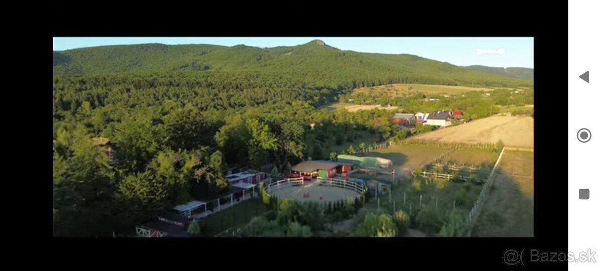 Ustajnenie koní. - 8