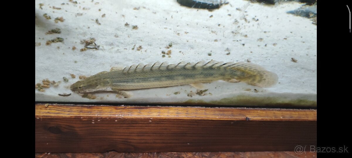 Ruším akvarium - 8