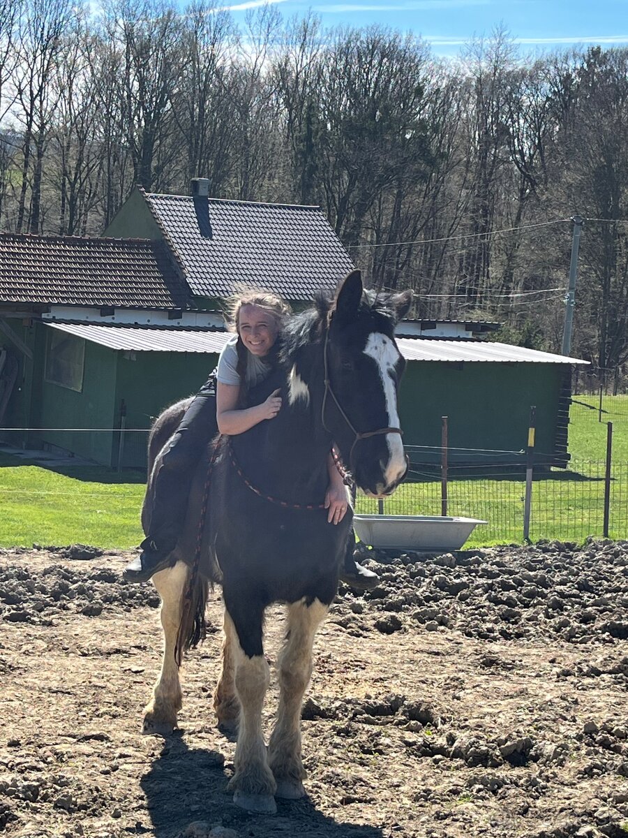 Kobylka do Rodiny hledá super Parťáka - 8