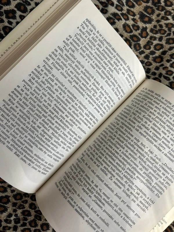 Let do srdce - Günter Herburger rok 1982 - 8