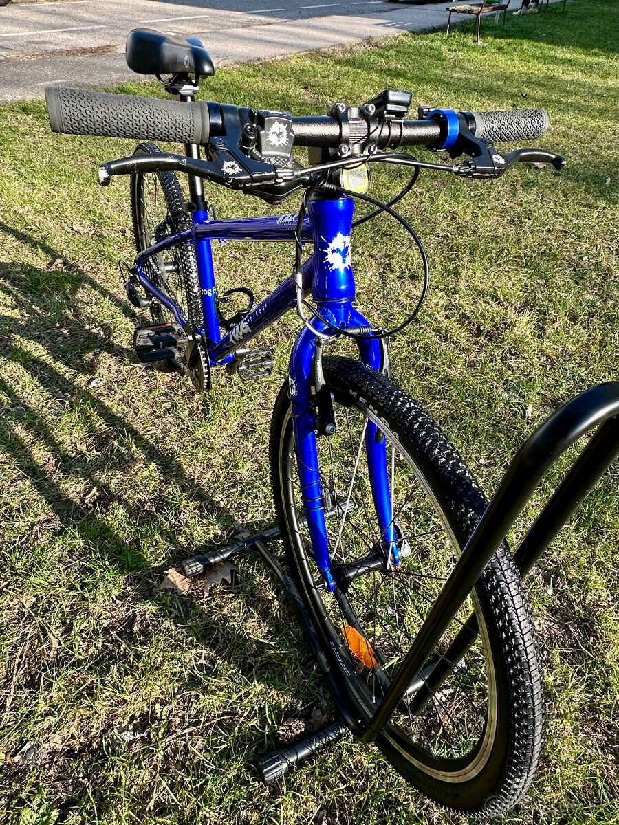 Frog 62 Electric Blue - 8