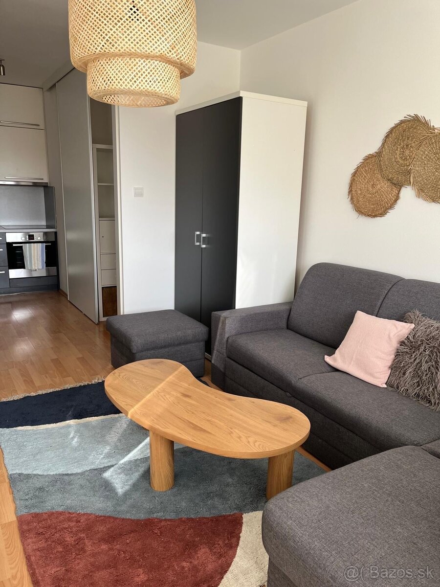 2-izb.slnečný byt s balkónom - 8