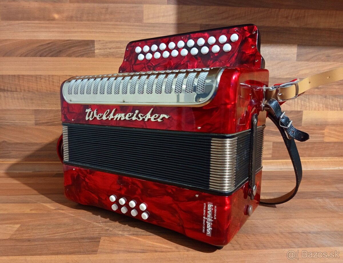 Akordeon, harmonika, heligonka - 8