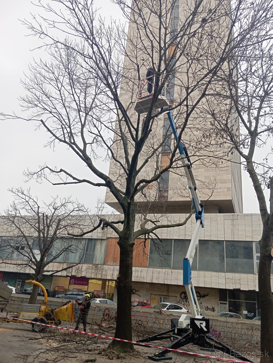 Výrub stromov, pílenie stromov, orez stromov, arboristika - 8