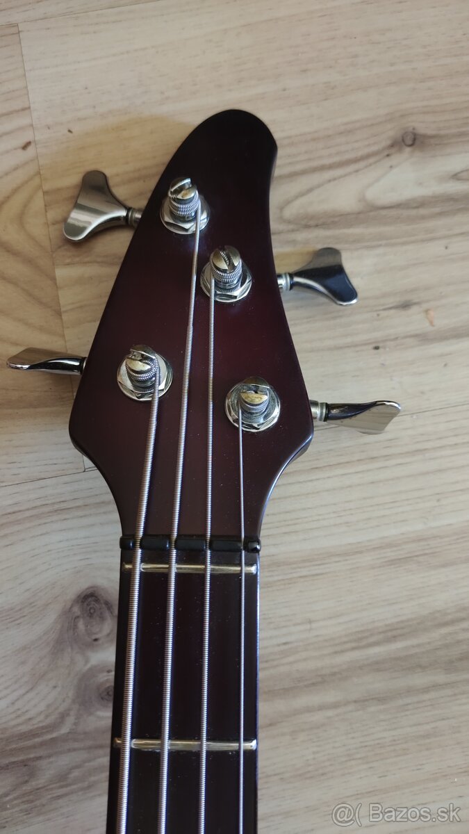 Basgitarista Meg - 8