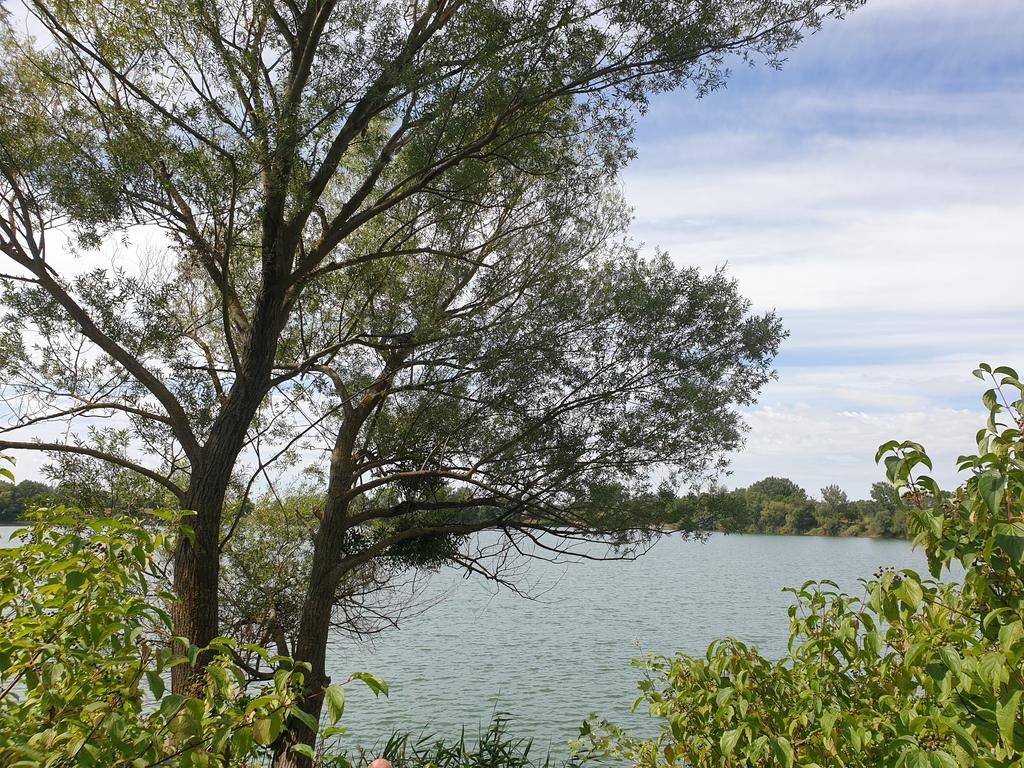 Nová atratívna cena. Investičná príležitosť. Pozemok neďalek - 8