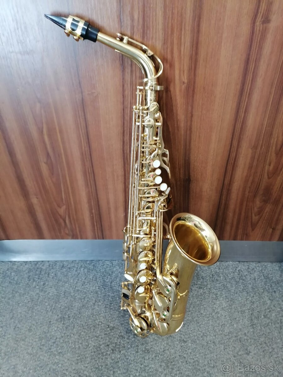 SAXOFÓN PARROT - 8