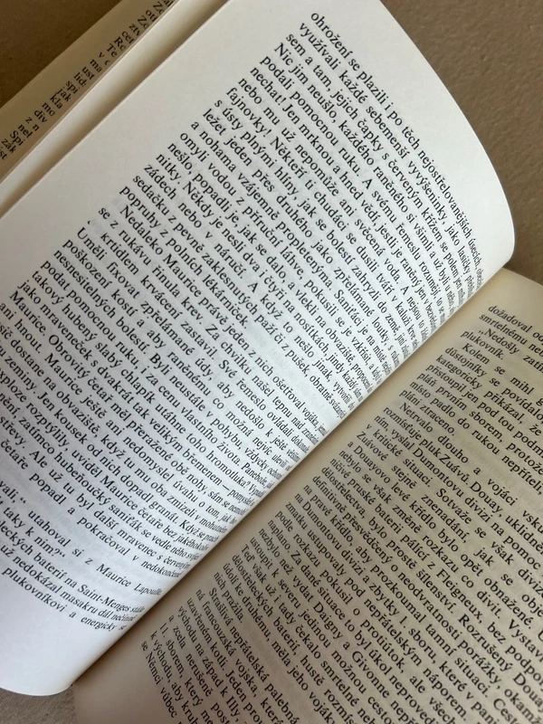 Rozvrat - Émile Zola - 8