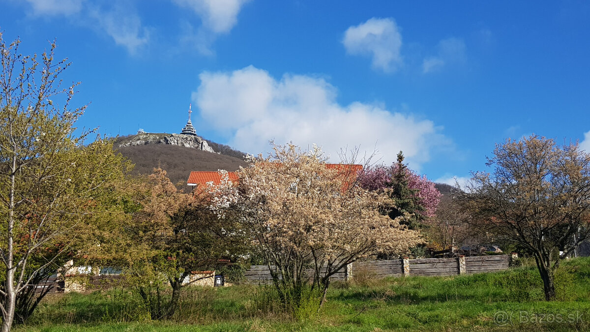 Predám 10á pozemok - Nitra, Zobor. - 8