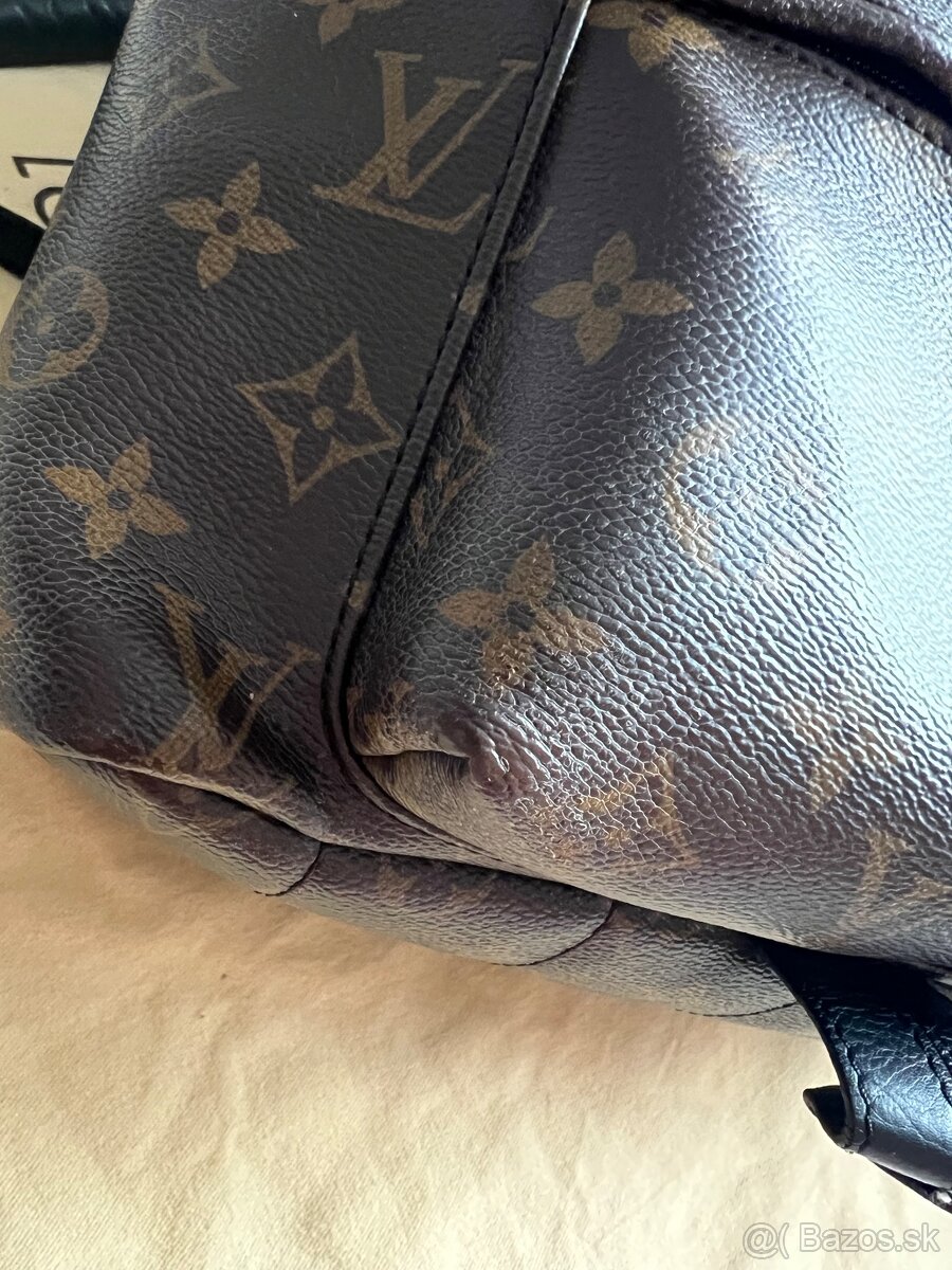 Louis Vuitton Palm Springs MM - 8