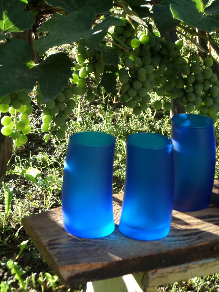 Modré misky, modré poháre - 8