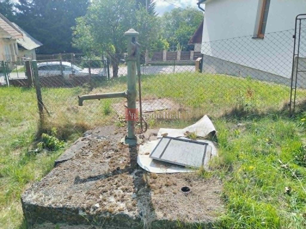 Fotografia 8