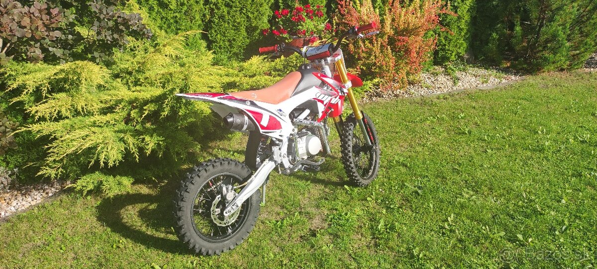 Pitbike WPB Race 140 - 8