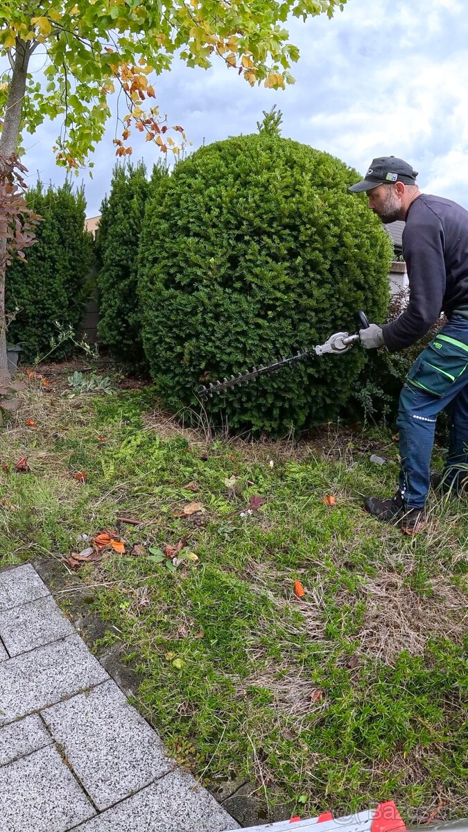 🌿 Profesionálne zimné záhradnícke služby🌿 Záhradník - 8