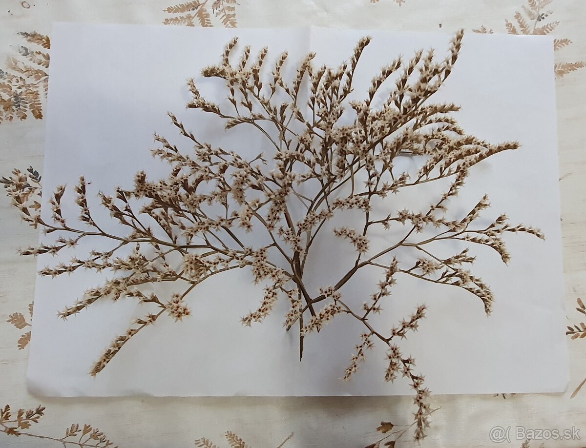 Vetvicky a sisky na adventne vence / dekoracie - 8