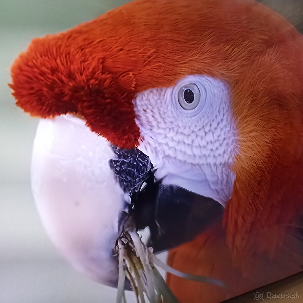 Samsung smart 4K led lcd tv 49(123) - 8