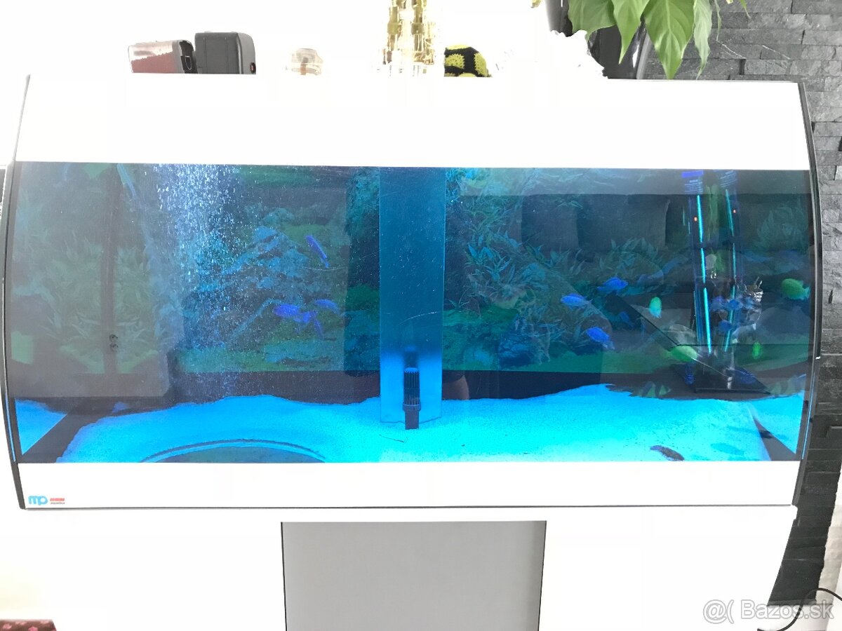 Predam dizajnové Akvarium Ehaim - 8