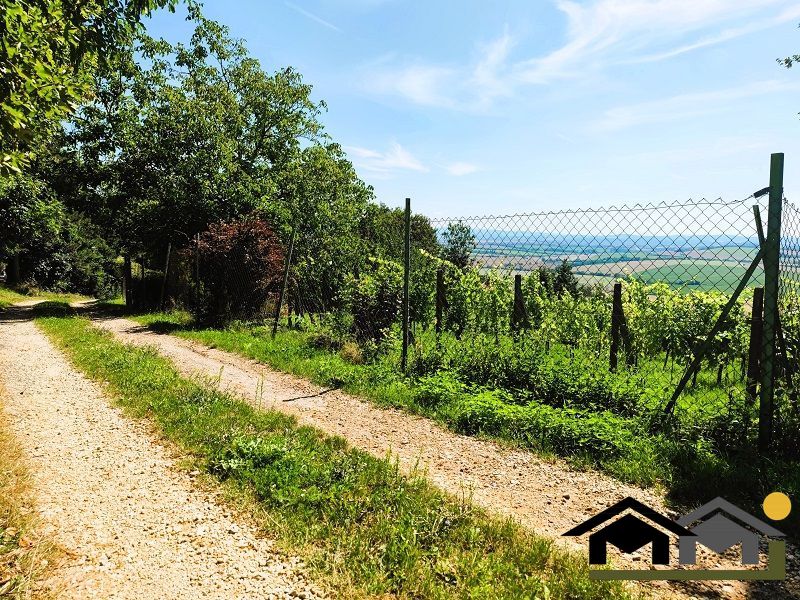 PREDAJ ZÁHRADY, KOLÍŇANY, 617 m² - 8