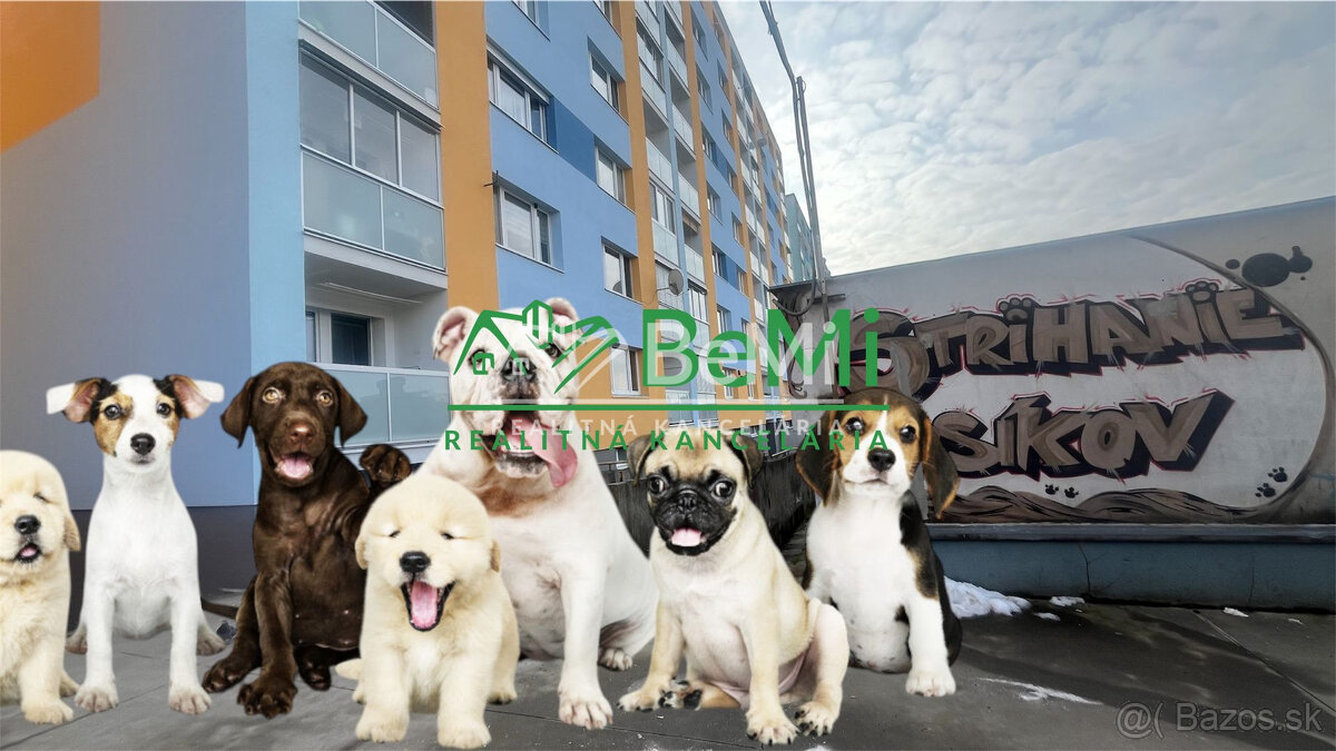 Odstúpenie - salónik - strihanie psíkov Sásová,Banská Bystri - 8