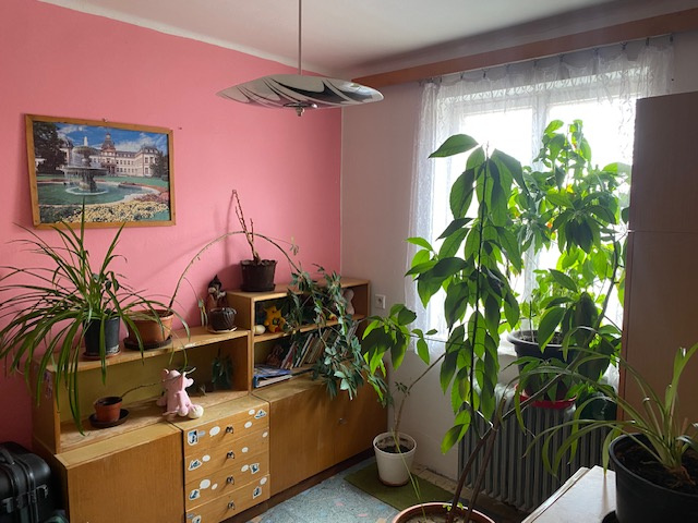 RD Očová, slnečný pozemok, predajom voľný, 160.000,00 € - 8