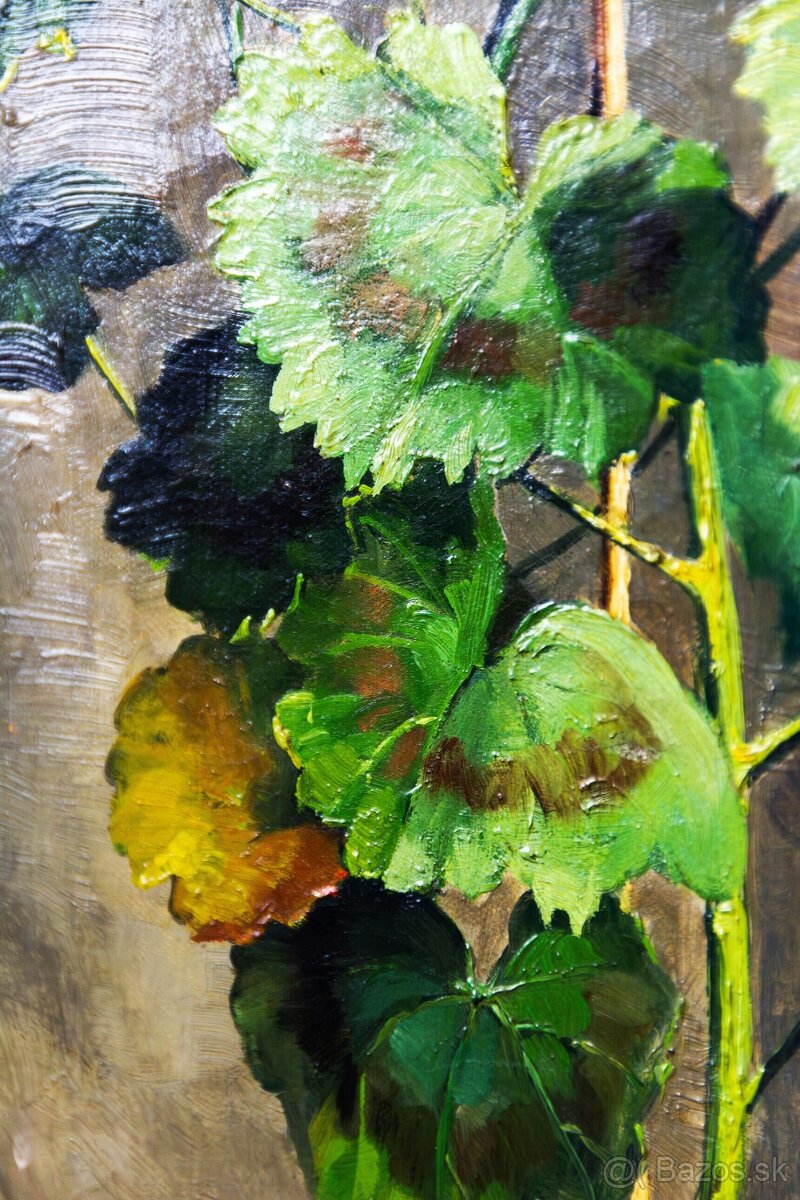 Zátišie s muškátmi, H.Friedrich, 375 × 615 mm - 8