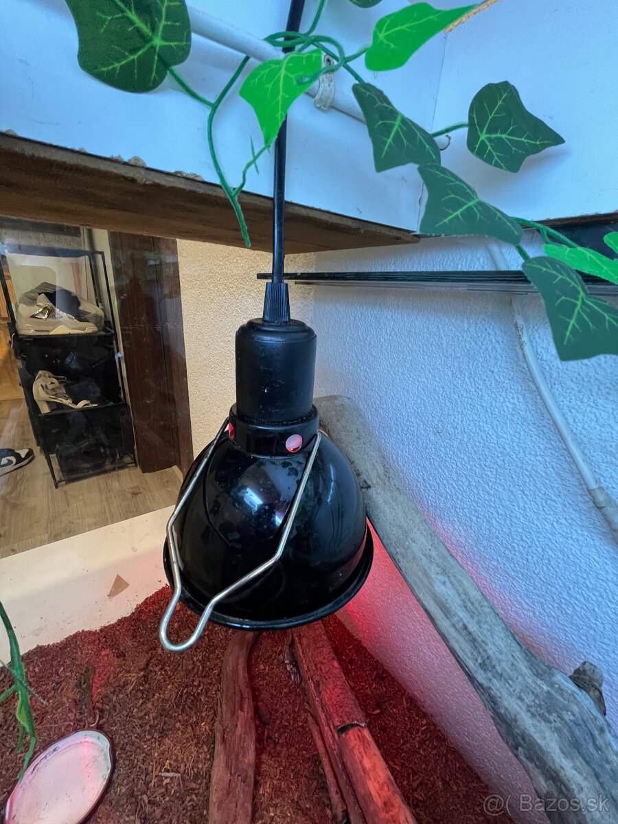 Ručne robená teraristická zostava / Terárium - 8