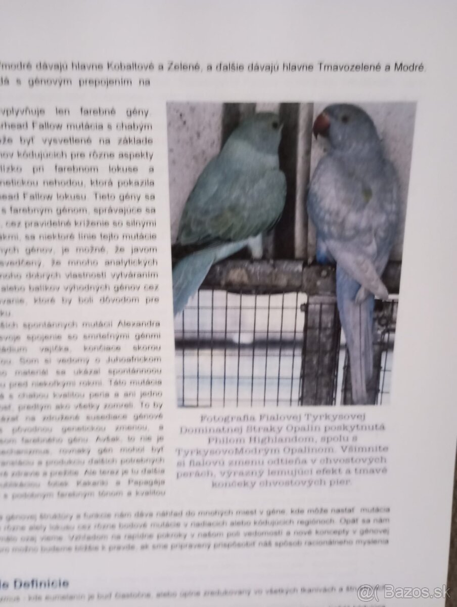 Knizka alexander maly genetika - 8