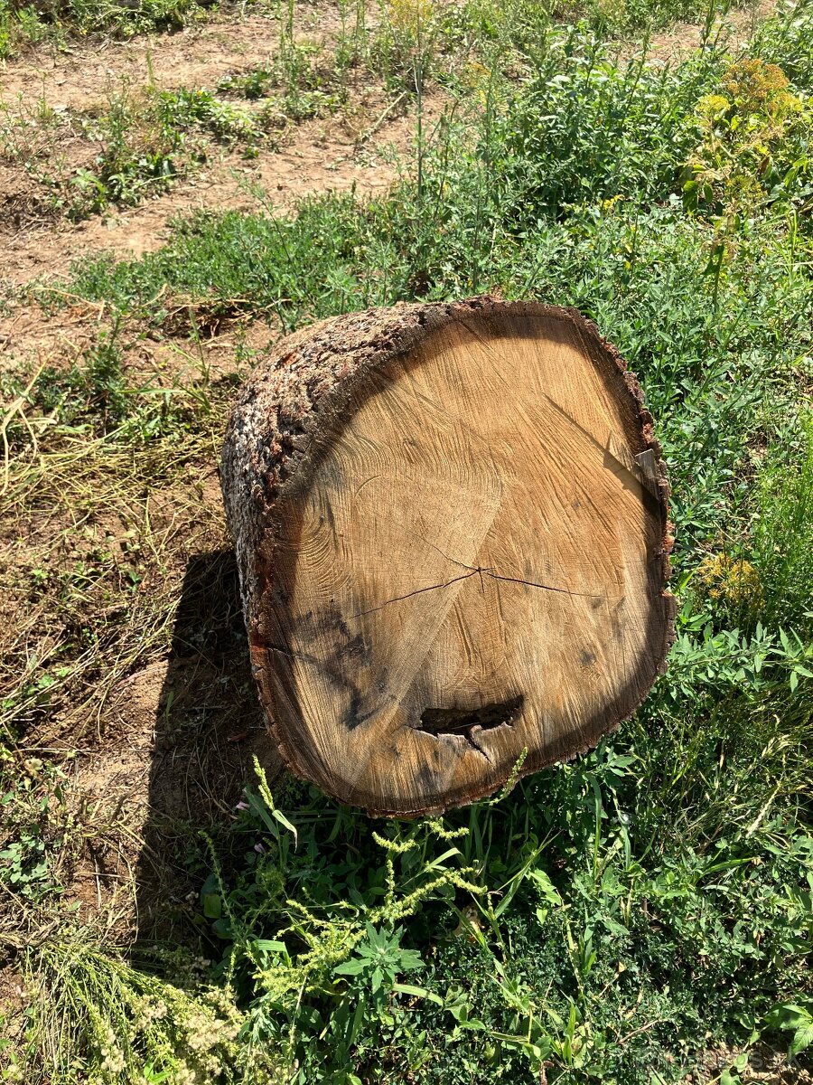 Dubovy pen=stol do exteriu - 8