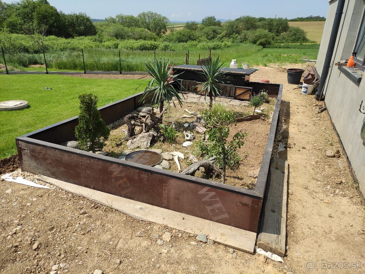 Suchozemská korytnačka -vlastný odchov 2025, príjem rezervác - 8