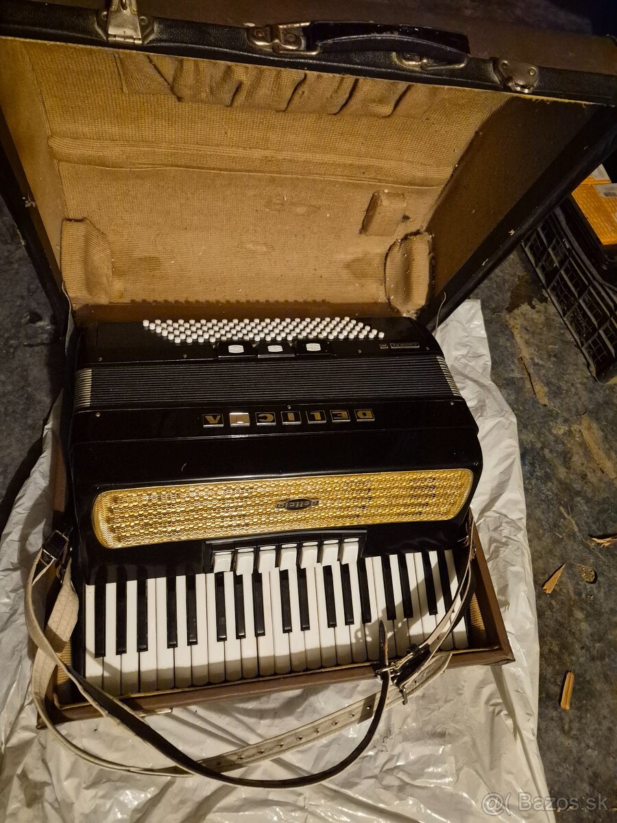 Predam akordeon Delicia - 8