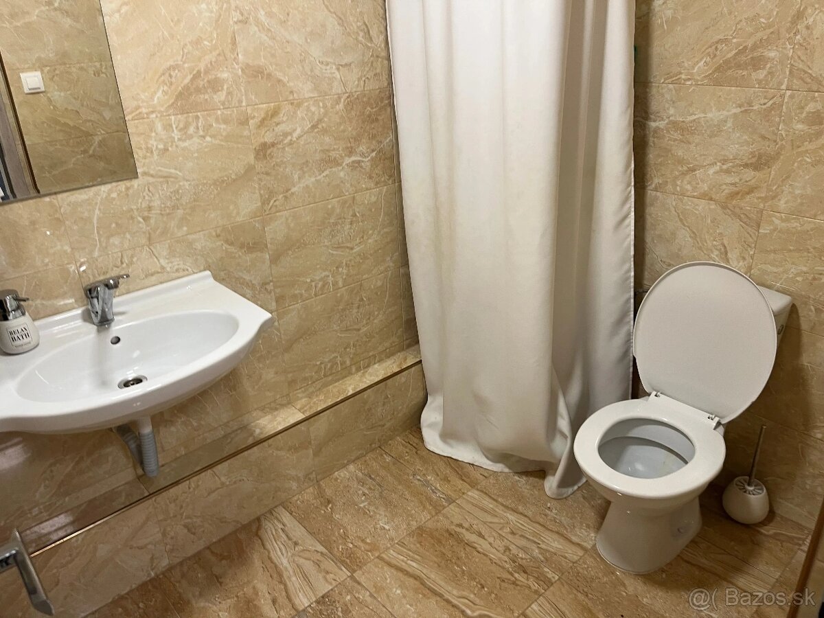 Priestor na prenájom, 2x 40m2, Trenčín, Pred Poľom - 8