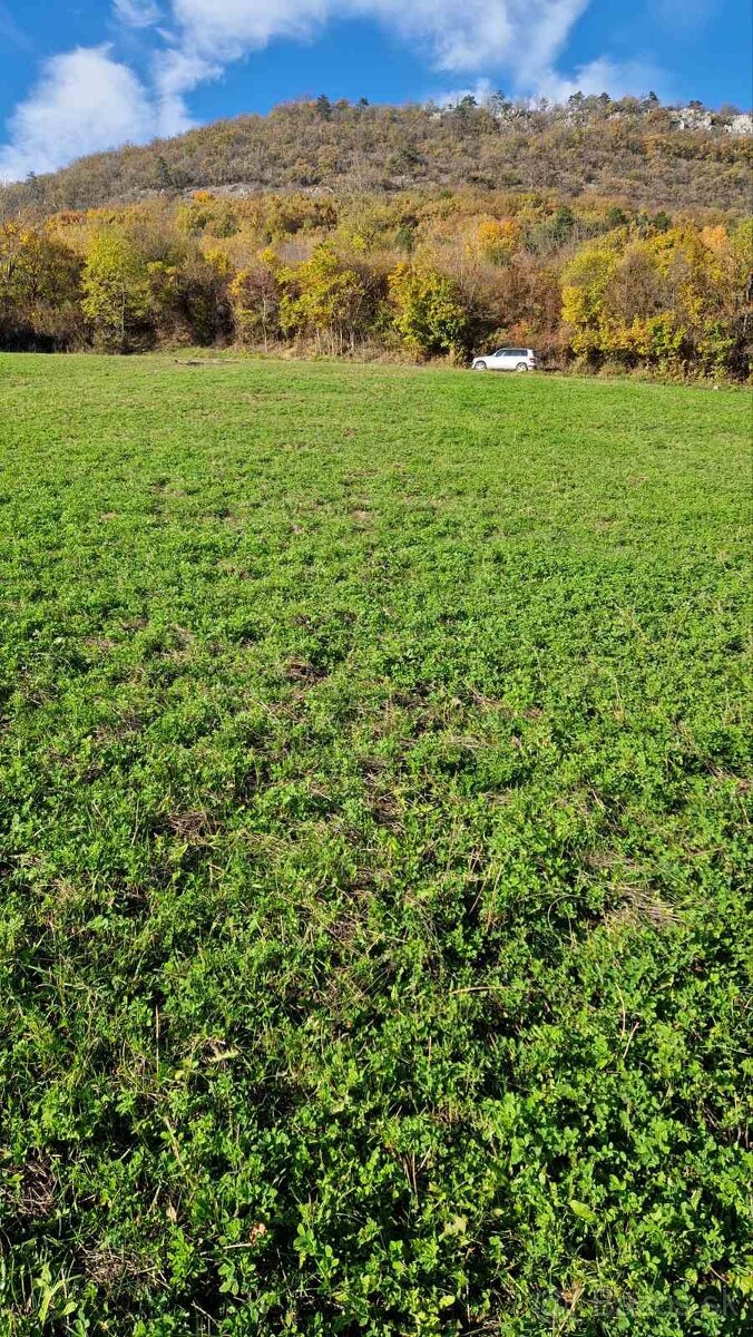 STAVEBNÉ POZEMKY HRUŠOV, rekreačná výstavba - 8