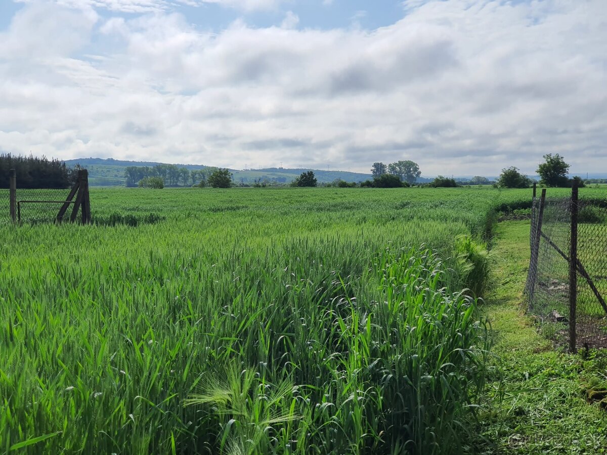 Bátka – 1730 m2 STAVEBNÝ POZEMOK na menší domček/chatku - 8