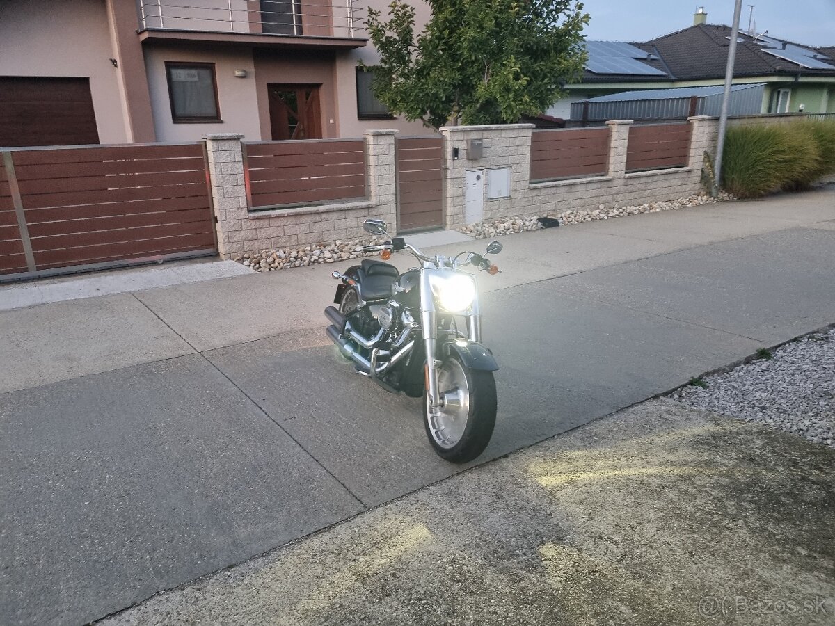 HARLEY DAVIDSON FAT BOY - 8