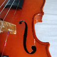 Detske husle 1/2 - 8