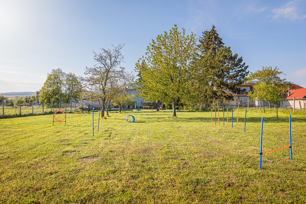 Predám svoje „dieťa“ – psí hotel Pes na dovolenke + dom, 30 - 8