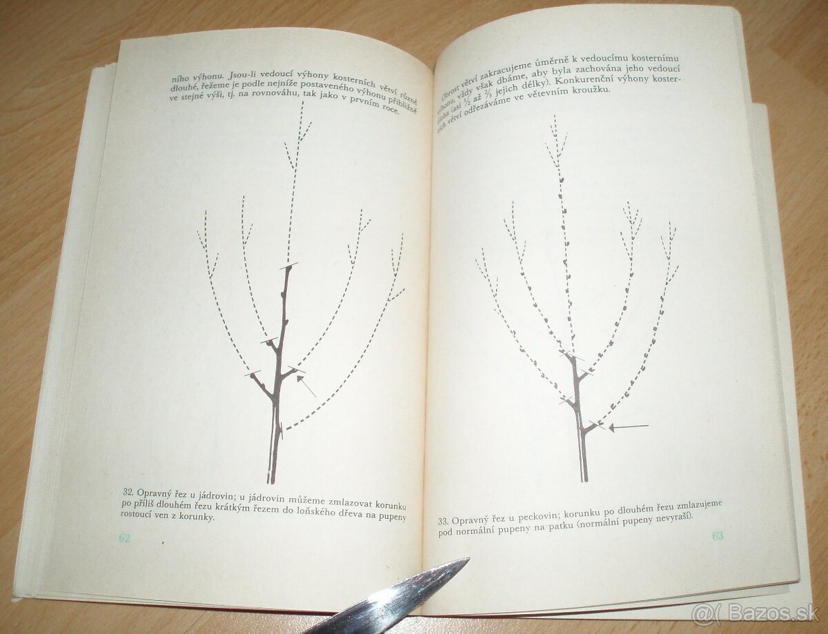 ez ovoných dřevin - 8