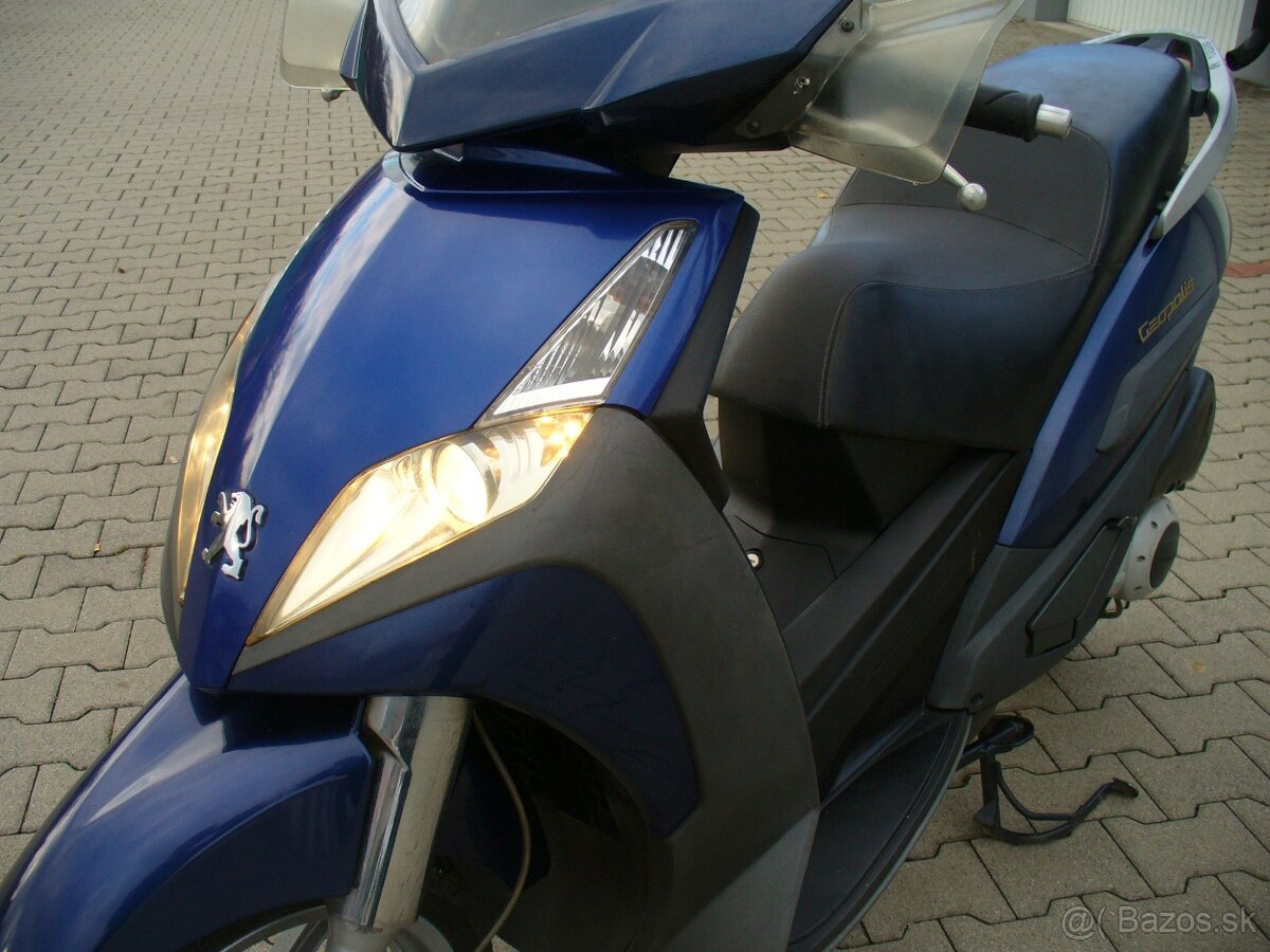 Peugeot Geopolis 250 i - 8