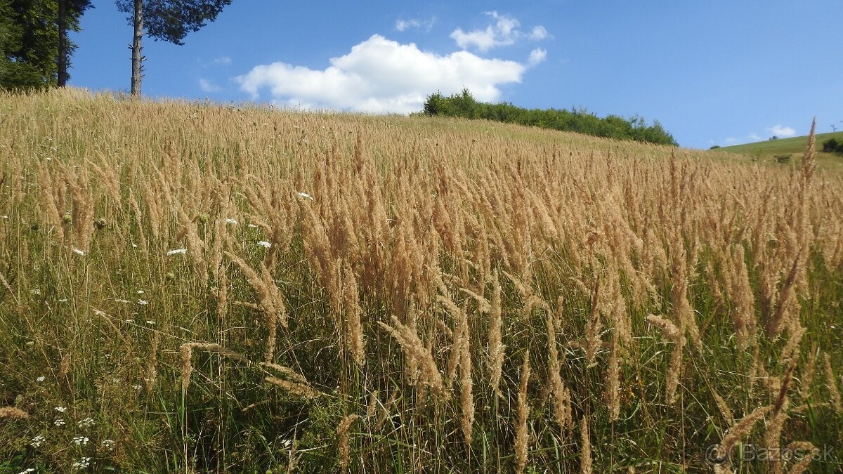 Pozemok na predaj 5 eur m2 Ski Park Desna - 8