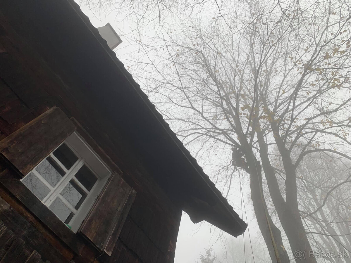 Rizikový výrub / rizikové pílenie stromov - 8