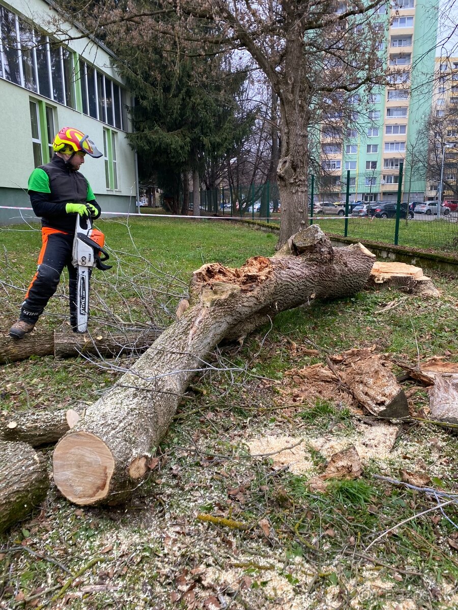 Rizikové výruby stromov - 8