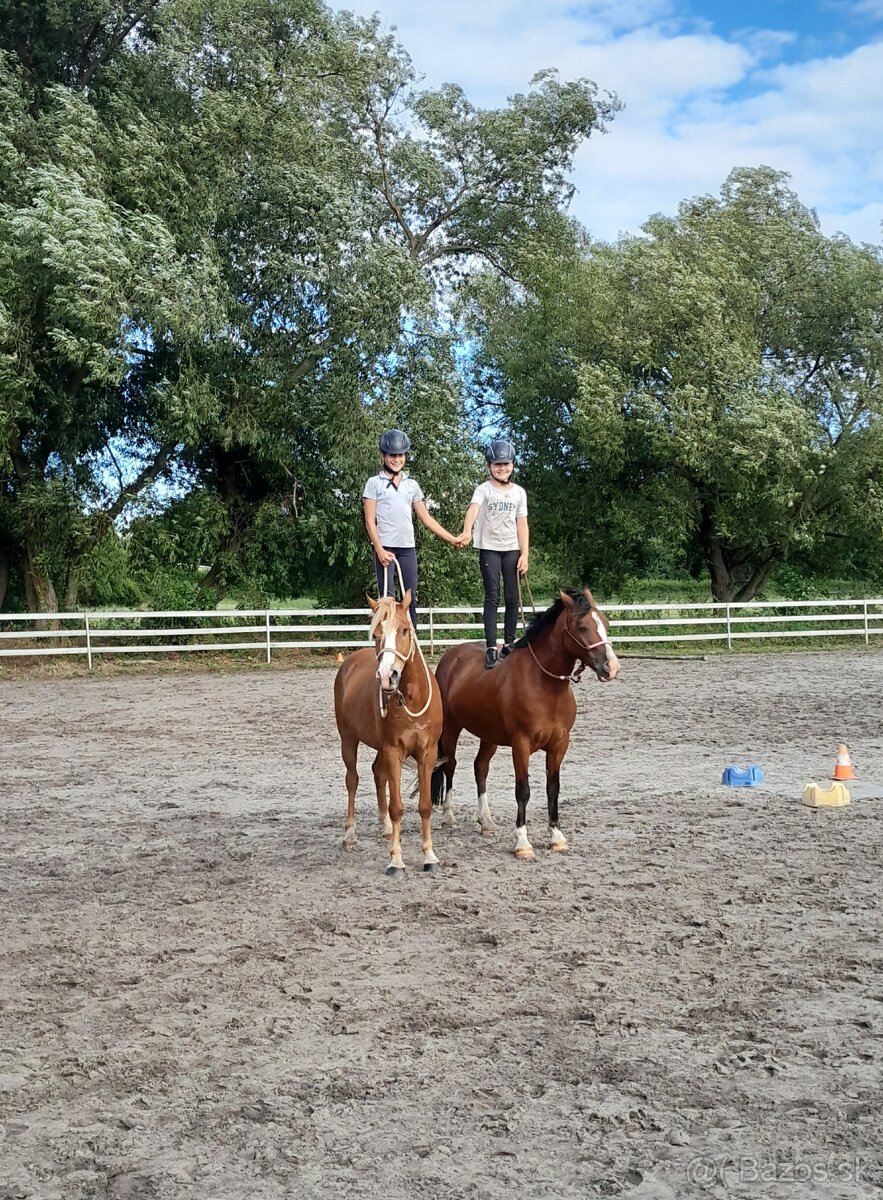 Náš Princ hledá svoji princeznu - 8