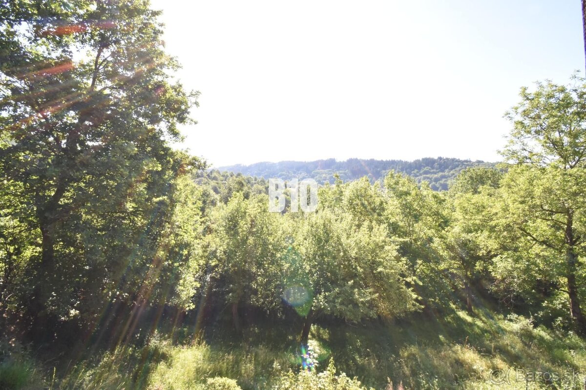 Novučká, po dreve voňajúca chata na samote – Kolárovice pri - 8