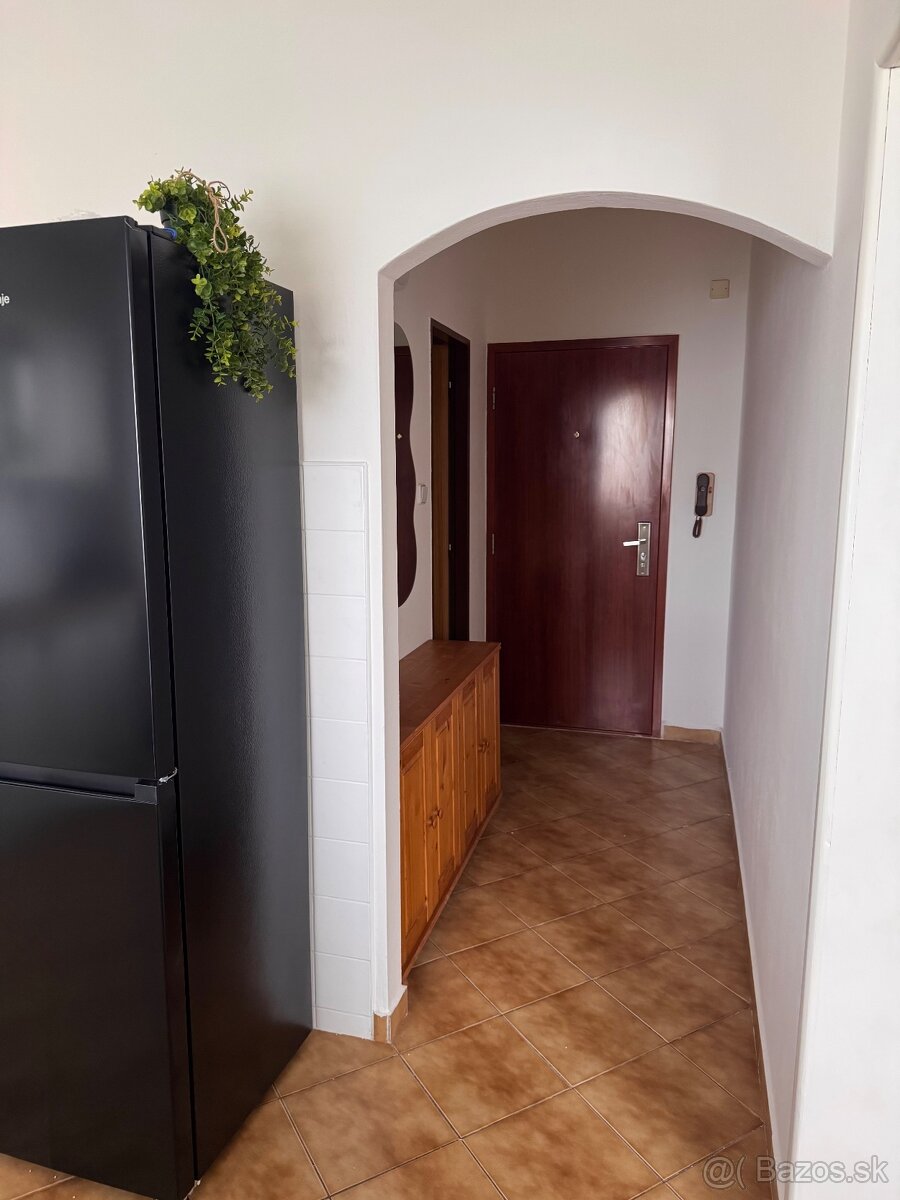 Veľký 1 izbový byt Podbreziny - 8