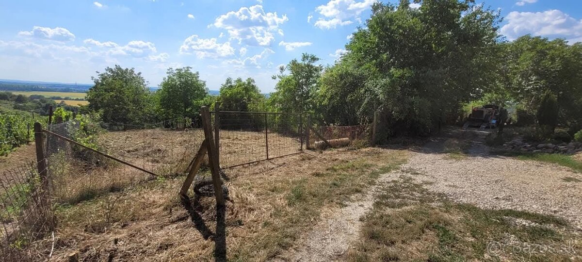 Pozemok na predaj_Staré Predné Levice_1000m2 - 8