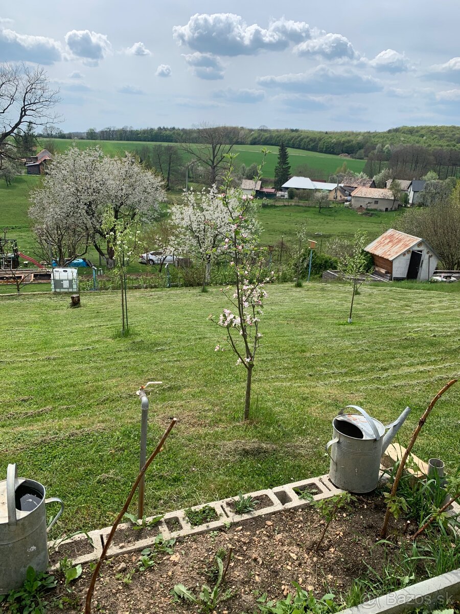 Záhrada s chatkou - 8