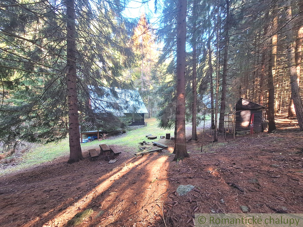 Chata v Studenej doline na vlastnom pozemku s vodou a elek - 8